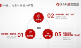 爆料网吃瓜入口官网,带你走进网络八卦的神秘世界