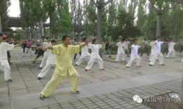 初学太极拳入门基本功视频教程,基本功视频教程精华概览